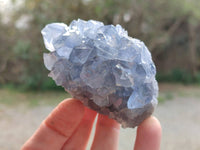 Natural Celestite Specimens x 6 From Sakoany, Madagascar