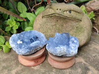Natural Celestite Specimens x 6 From Sakoany, Madagascar