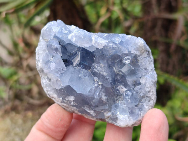 Natural Celestite Specimens x 6 From Sakoany, Madagascar