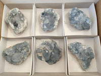 Natural Celestite Specimens x 6 From Sakoany, Madagascar