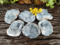 Natural Celestite Specimens x 6 From Sakoany, Madagascar