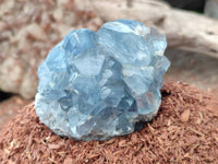 Natural Celestite Specimens x 6 From Sakoany, Madagascar
