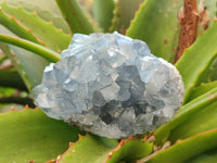 Natural Celestite Specimens x 6 From Sakoany, Madagascar