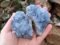 Natural Celestite Specimens x 6 From Sakoany, Madagascar