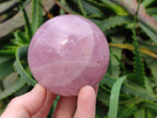 Polished Star Rose Quartz Spheres x 3 From Madagascar - Toprock Gemstones and Minerals 
