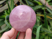 Polished Star Rose Quartz Spheres x 3 From Madagascar