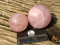 Polished Star Rose Quartz Spheres x 3 From Madagascar
