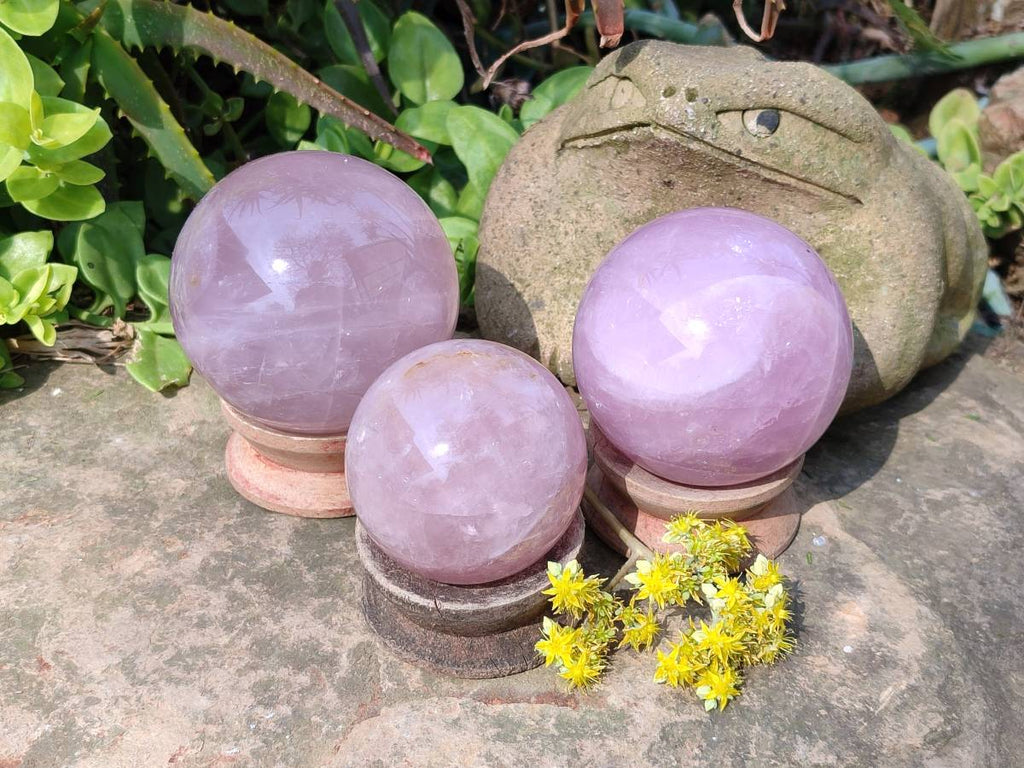 Polished Star Rose Quartz Spheres x 3 From Madagascar - Toprock Gemstones and Minerals 