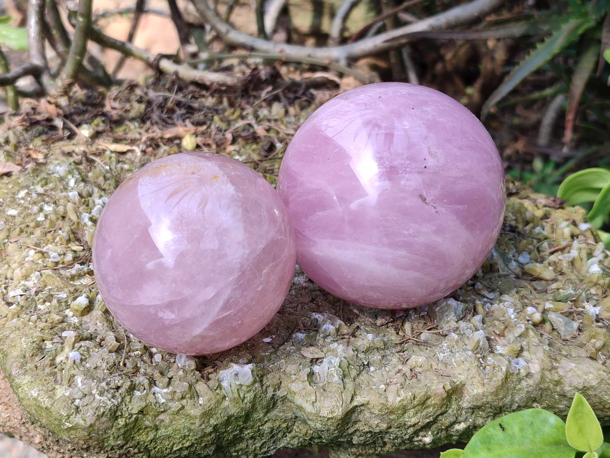 Polished Star Rose Quartz Spheres x 3 From Madagascar - Toprock Gemstones and Minerals 