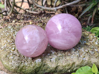 Polished Star Rose Quartz Spheres x 3 From Madagascar