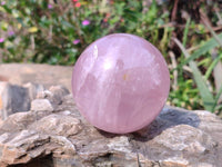 Polished Star Rose Quartz Spheres x 3 From Madagascar