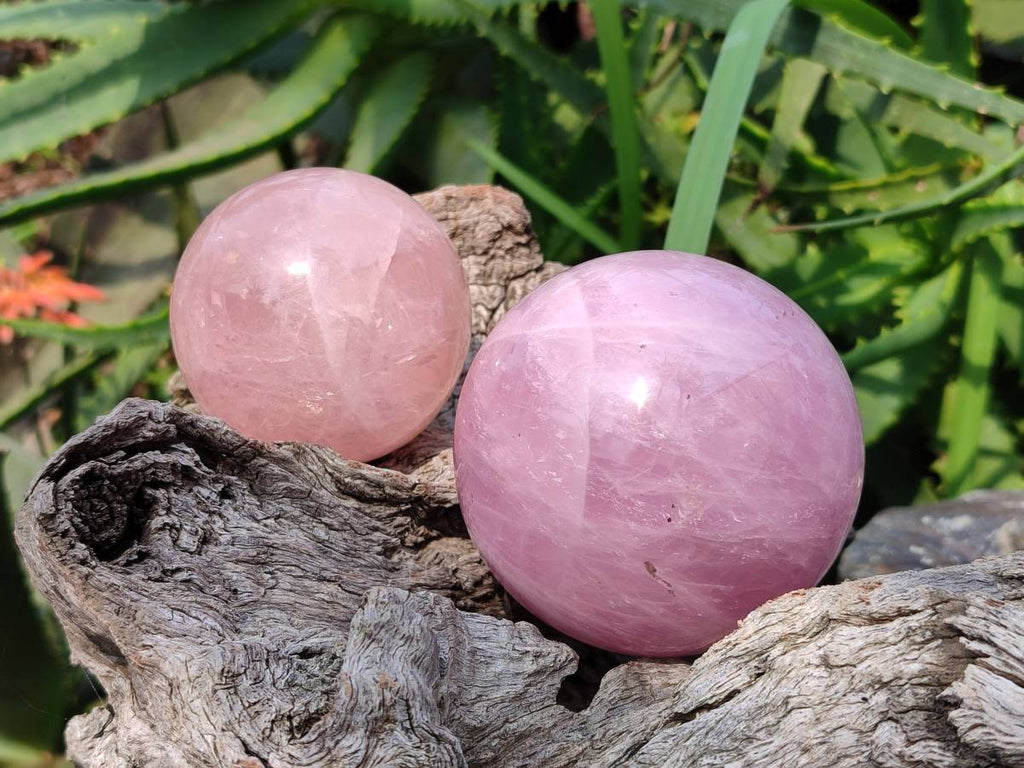Polished Star Rose Quartz Spheres x 3 From Madagascar - Toprock Gemstones and Minerals 