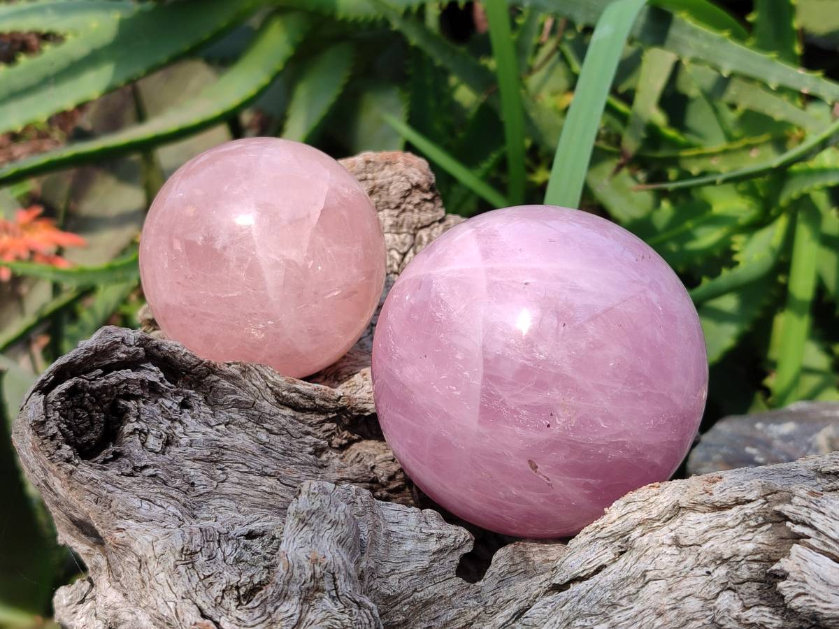 Polished Star Rose Quartz Spheres x 3 From Madagascar - Toprock Gemstones and Minerals 