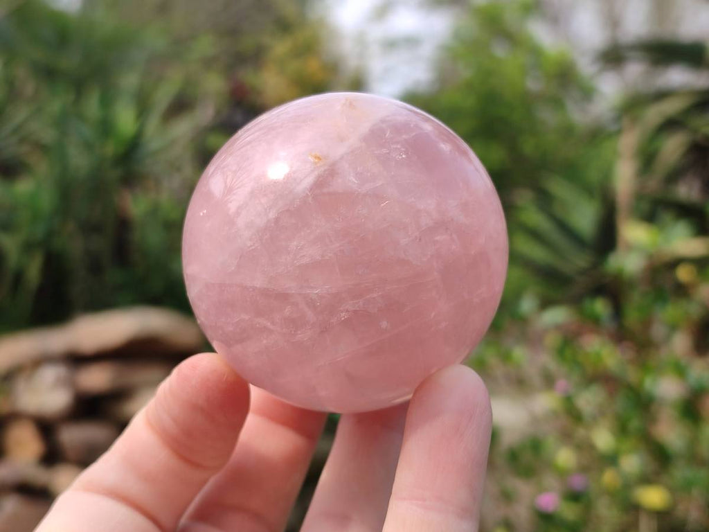 Polished Star Rose Quartz Spheres x 3 From Madagascar - Toprock Gemstones and Minerals 