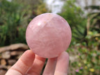 Polished Star Rose Quartz Spheres x 3 From Madagascar - Toprock Gemstones and Minerals 