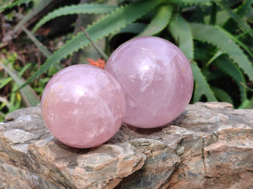 Polished Star Rose Quartz Spheres x 3 From Madagascar - Toprock Gemstones and Minerals 