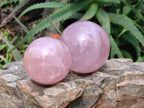Polished Star Rose Quartz Spheres x 3 From Madagascar - Toprock Gemstones and Minerals 