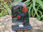 Polished Bloodstone Standing Free Forms x 2 From Swaziland - Toprock Gemstones and Minerals 