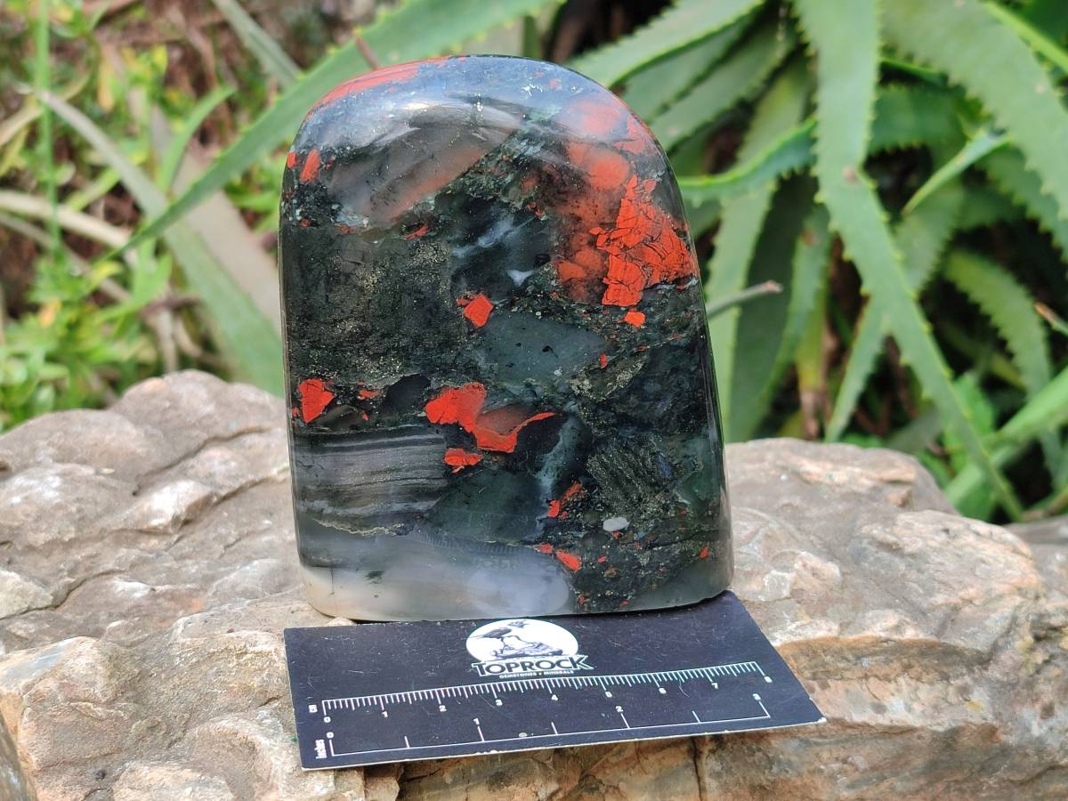 Polished Bloodstone Standing Free Forms x 2 From Swaziland - Toprock Gemstones and Minerals 