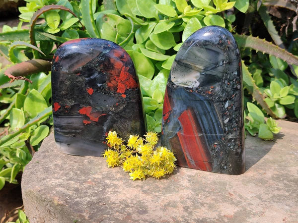 Polished Bloodstone Standing Free Forms x 2 From Swaziland