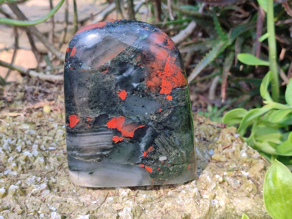Polished Bloodstone Standing Free Forms x 2 From Swaziland - Toprock Gemstones and Minerals 