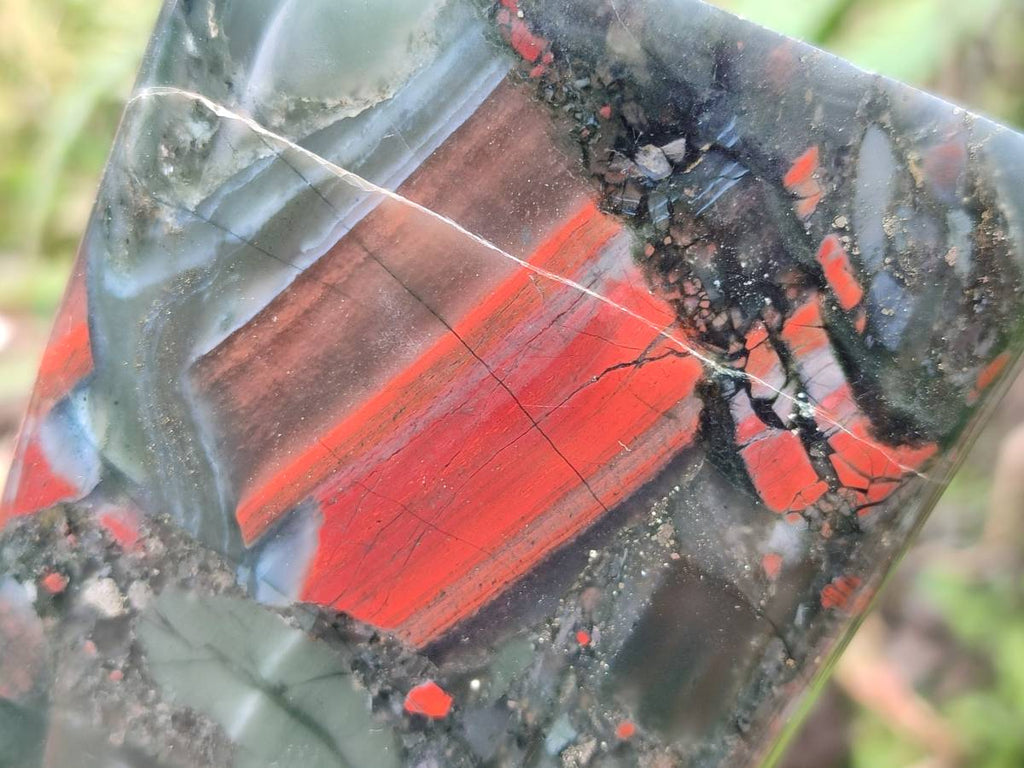 Polished Bloodstone Standing Free Forms x 2 From Swaziland - Toprock Gemstones and Minerals 