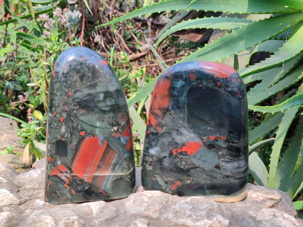 Polished Bloodstone Standing Free Forms x 2 From Swaziland - Toprock Gemstones and Minerals 