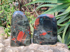 Polished Bloodstone Standing Free Forms x 2 From Swaziland - Toprock Gemstones and Minerals 