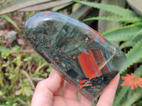 Polished Bloodstone Standing Free Forms x 2 From Swaziland