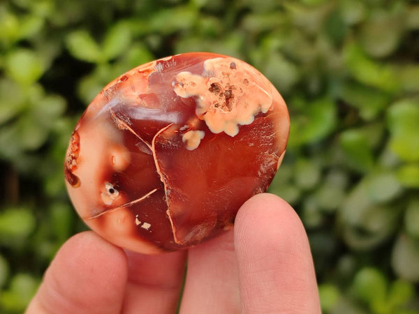 Polished Carnelian Agate Palm Stones x 20 From Madagascar