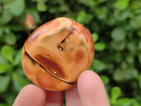 Polished Carnelian Agate Palm Stones x 20 From Madagascar