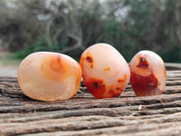 Polished Carnelian Agate Palm Stones x 20 From Madagascar
