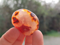 Polished Carnelian Agate Palm Stones x 20 From Madagascar