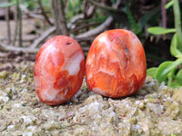 Polished Carnelian Agate Palm Stones x 20 From Madagascar