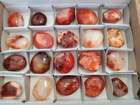 Polished Carnelian Agate Palm Stones x 20 From Madagascar