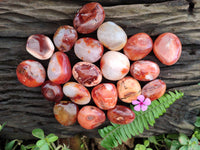 Polished Carnelian Agate Palm Stones x 20 From Madagascar