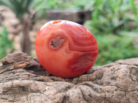 Polished Carnelian Agate Palm Stones x 20 From Madagascar