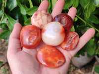 Polished Carnelian Agate Palm Stones x 20 From Madagascar