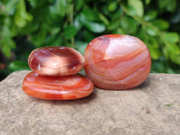Polished Carnelian Agate Palm Stones x 20 From Madagascar