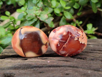 Polished Carnelian Agate Palm Stones x 20 From Madagascar