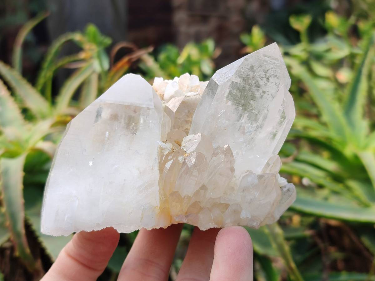 Natural Quartz Clusters x 6 From Madagascar - Toprock Gemstones and Minerals 