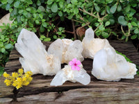 Natural Quartz Clusters x 6 From Madagascar