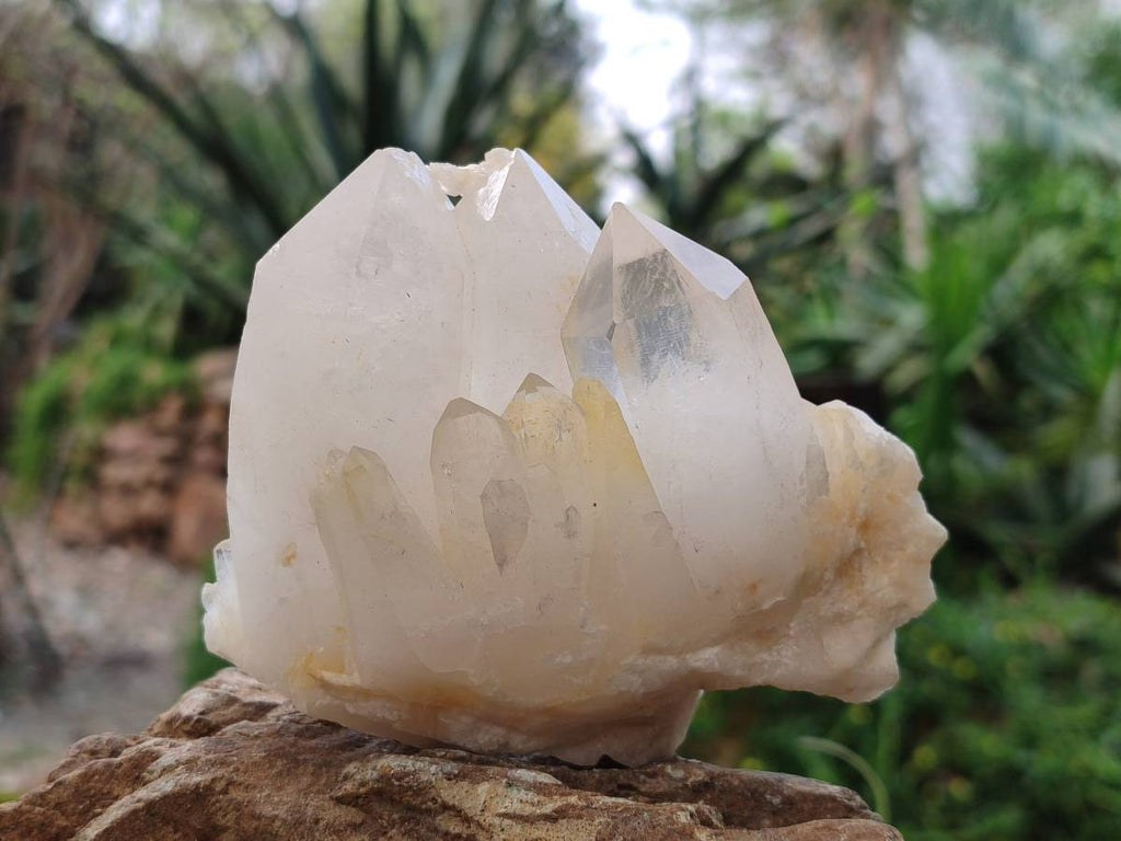 Natural Quartz Clusters x 6 From Madagascar - Toprock Gemstones and Minerals 