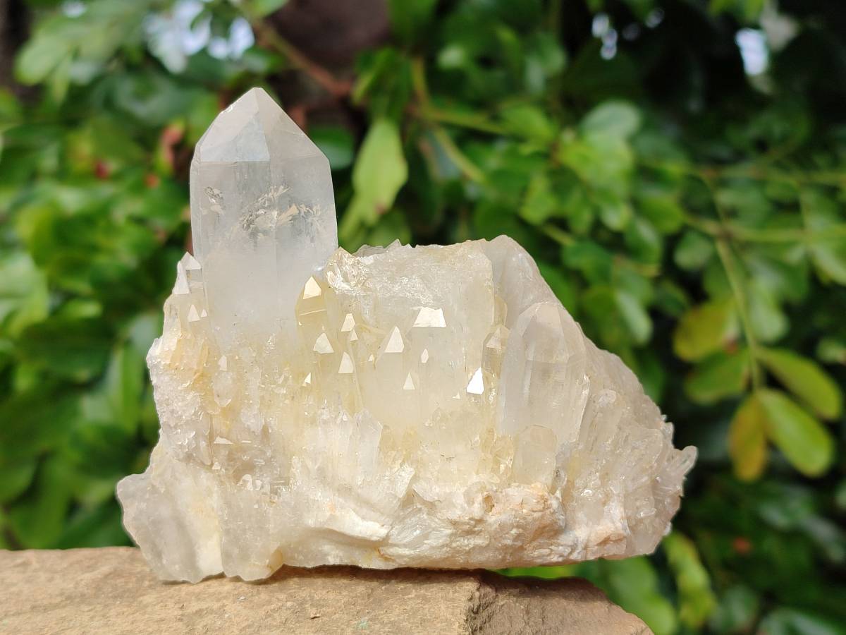 Natural Quartz Clusters x 6 From Madagascar - Toprock Gemstones and Minerals 