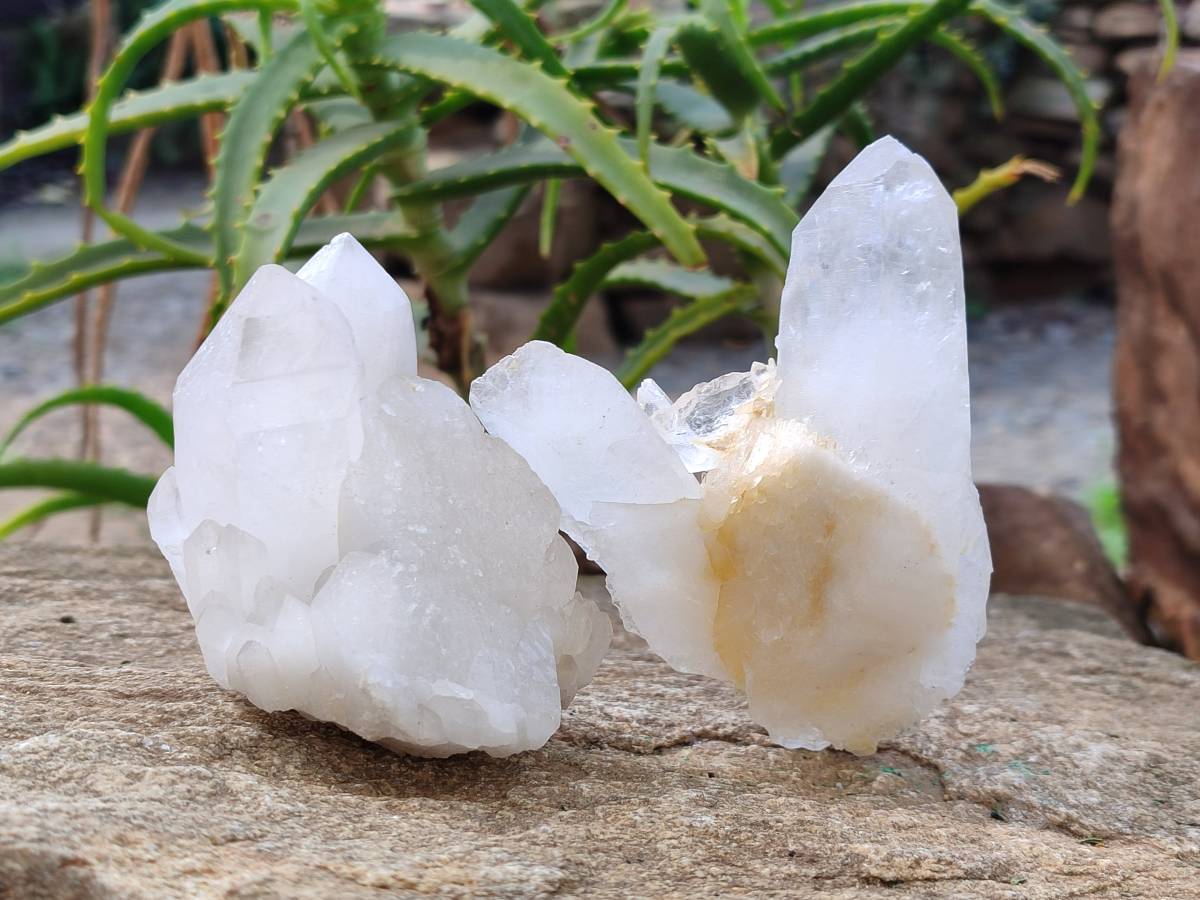 Natural Quartz Clusters x 6 From Madagascar - Toprock Gemstones and Minerals 