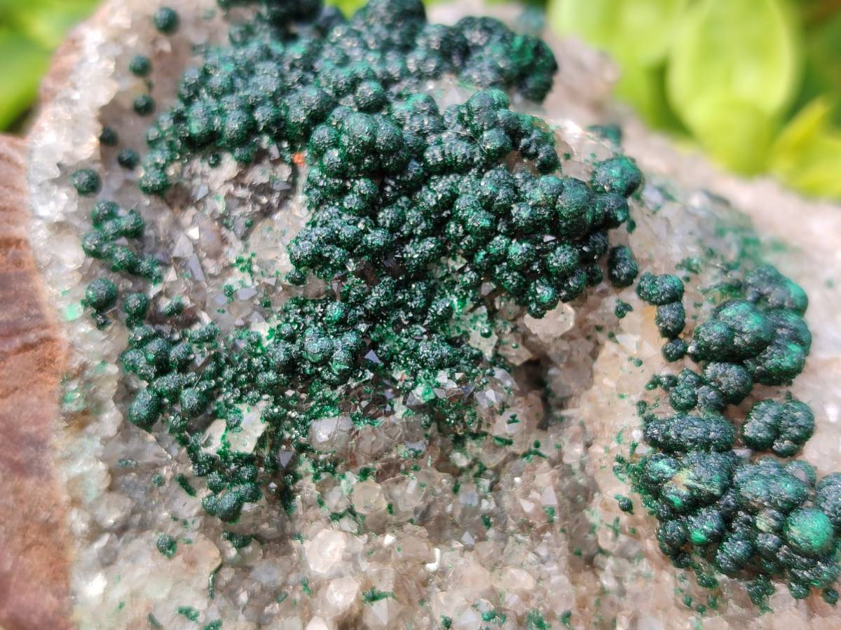 Natural Ball Malachite On Dolomite Matrix Specimen x 1 From Kambove, Congo - Toprock Gemstones and Minerals 