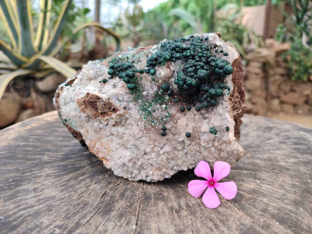 Natural Ball Malachite On Dolomite Matrix Specimen x 1 From Kambove, Congo - Toprock Gemstones and Minerals 