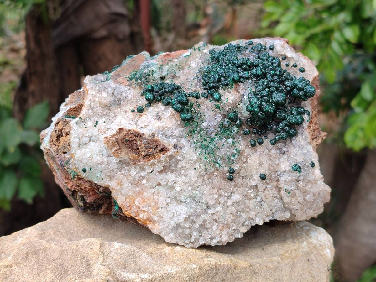 Natural Ball Malachite On Dolomite Matrix Specimen x 1 From Kambove, Congo - Toprock Gemstones and Minerals 