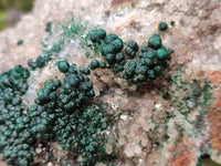 Natural Ball Malachite On Dolomite Matrix Specimen x 1 From Kambove, Congo