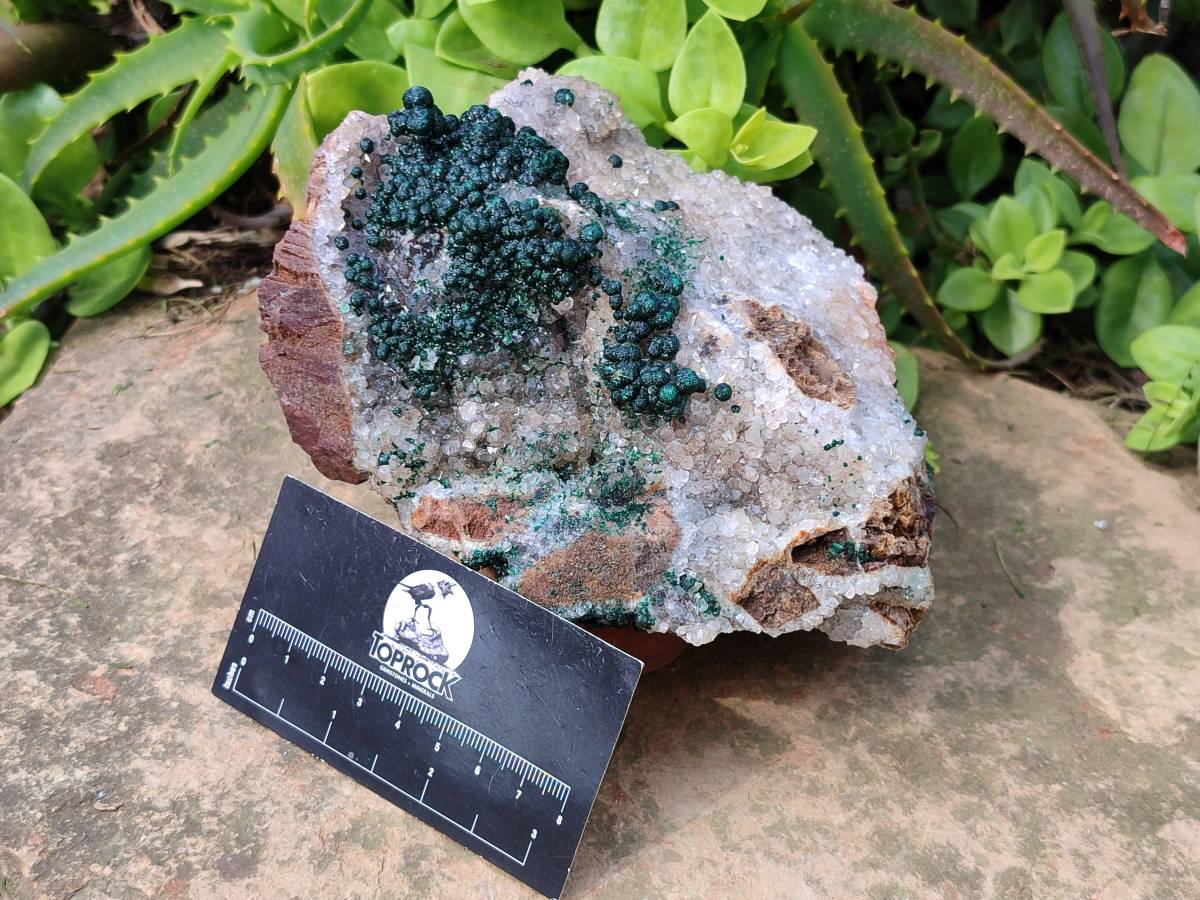 Natural Ball Malachite On Dolomite Matrix Specimen x 1 From Kambove, Congo - Toprock Gemstones and Minerals 